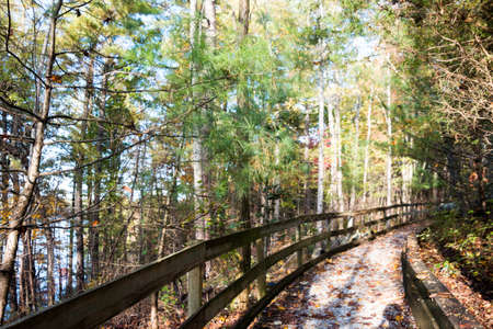 Fall in North Carolina