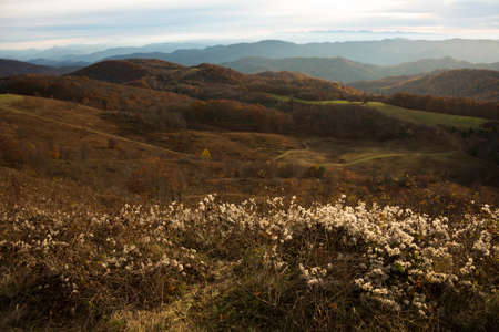 Max Patch in North Carolinaの写真素材