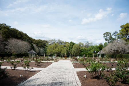 Rose Garden