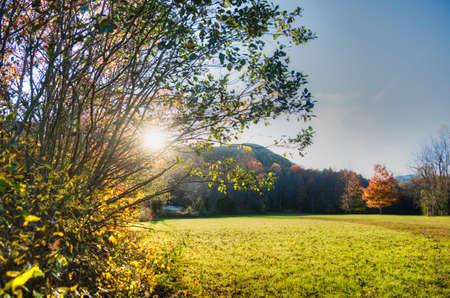 Campground in North Carolinaの写真素材