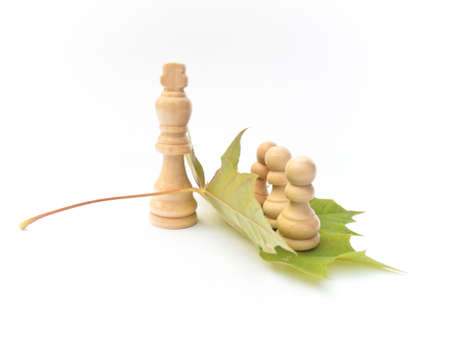 Wooden chess pieces on a green maple leaf.
