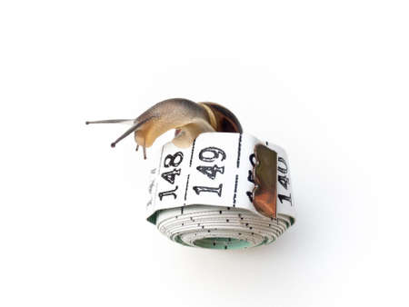 A snail on a tape measure, on a white background. Health concept.の写真素材