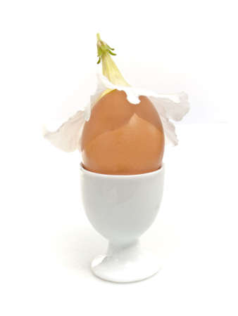 A brown egg in egg cup with flower as a hat. Health concept.の写真素材