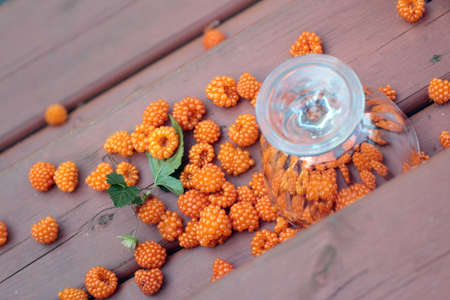 Spilled salmonberriesの写真素材