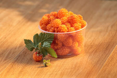 Ripe salmonberries in plastic containerの写真素材