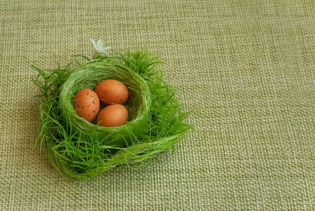 Three Easter eggs in the of green nest on a fabric background.の写真素材