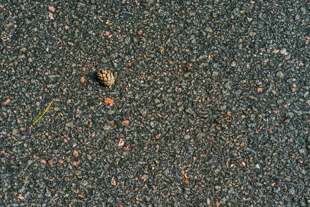 An image of a fragment of wet asphalt after a rain with a cone for use as a background.の写真素材