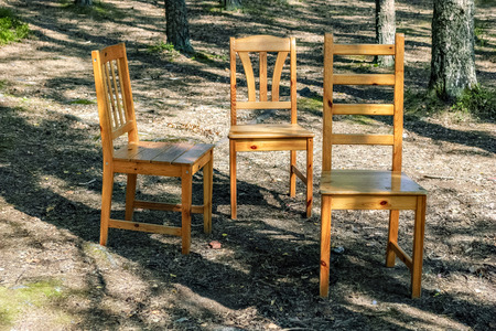 Three lonely standing chairs in a pine forest on a sunny day.の写真素材