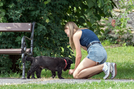 Budapest, Hungary, July 4: A girl plays with her beloved pet in one of the parks of the city of Budapest on July 4, 2018.のeditorial素材