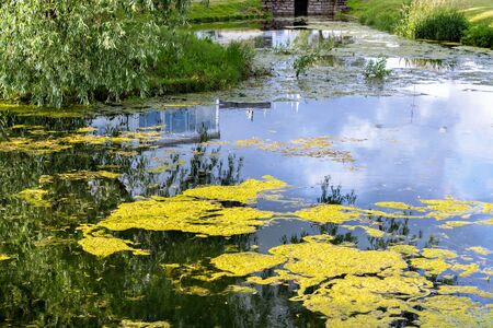 Pond in the city Park of Rakvere in Estonia on the surface of which reflects the blue sky with...