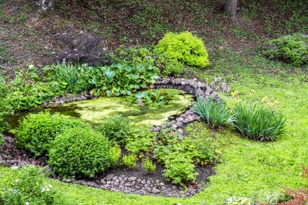 A small pond, surrounded by a stone covered with yellow mud with a lily flower on the surface of the water.の写真素材