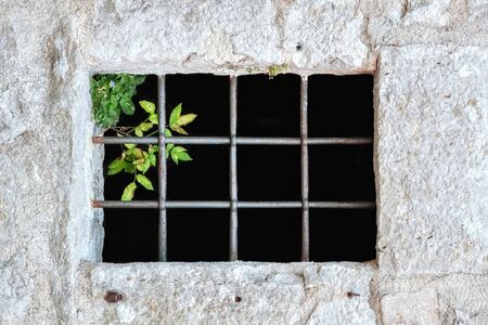 Window in a stone wall with a metal grill and a bush of greenery in the upper corner. From a series of windows of the world.の写真素材