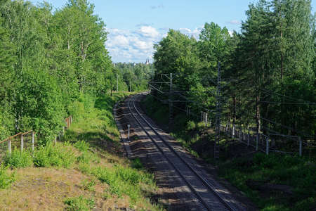 Railway track in the forest on a bright sunny summer day.の写真素材