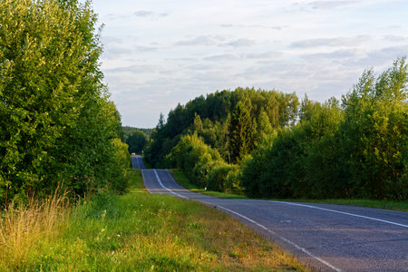 Asphalt road of regional importance in the forest with a truck moving along it.