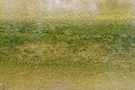 Surface of the water with ripples, through which a sandy bottom with small pebbles shines through,...