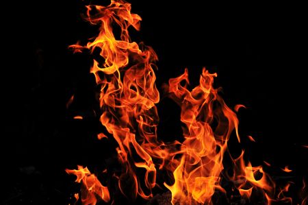 wild fire flames burn hot with black background