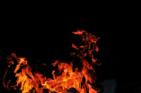 wild fire flames burn hot with black background