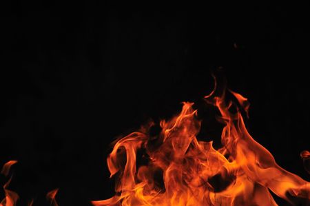 wild fire flames burn hot with black backgroundの写真素材