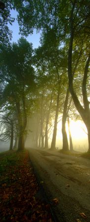 Dawn at beautyful alleyの写真素材