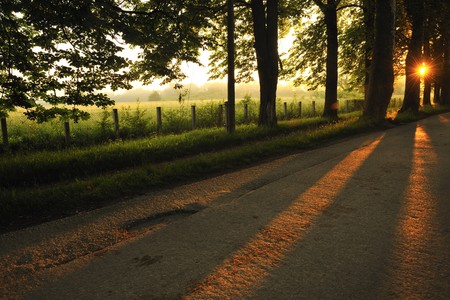 beautiful fresh morning with sun rays and dramatic lightの写真素材