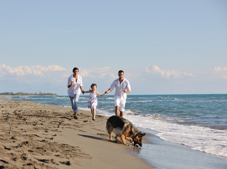 happy young family in white clothing have fun and play with beautiful dog at vacations on beautiful beach の写真素材