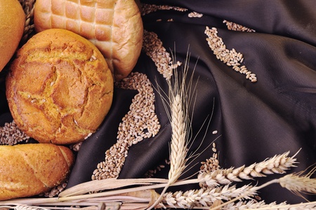 fresh healthy natural  bread food group and wheat plant in studio on table