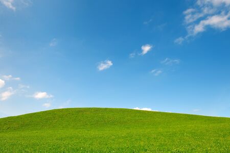 green field of grass and perfect blue  sky background in natureの写真素材