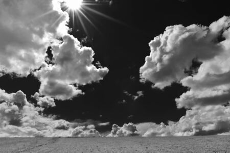 nature background with field of green  grass and perfect blue sky with cloudsの写真素材
