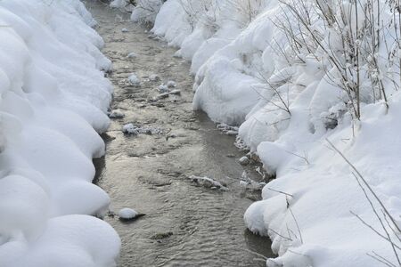 nature mountaint winter landscape with tree and fresh snowの写真素材
