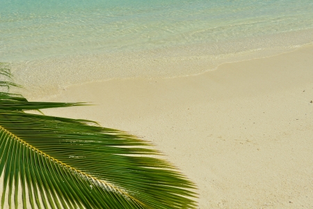 tropical beach with white sand at summerの写真素材