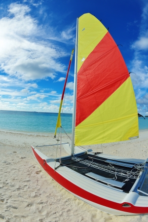 tropical beach with white sand at summerの写真素材