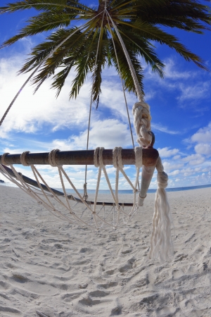 tropical beach with white sand at summerの写真素材