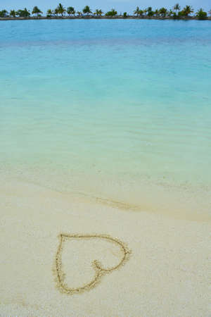 tropical beach nature landscape scene with white sand at summerの写真素材