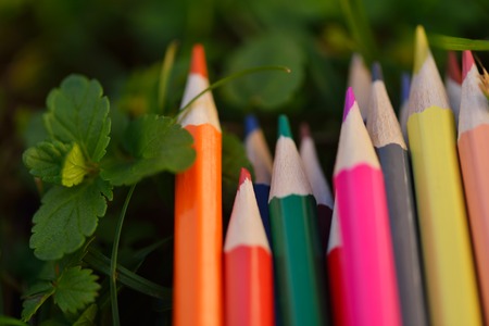 children education concept with colorful wooden pen isolated on white backgroundの写真素材