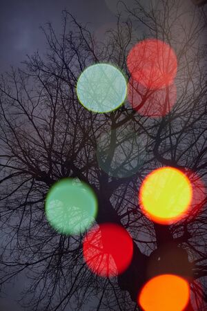 abstract tree background  with blured street  lights and double exposureの写真素材