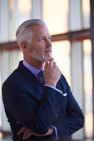 portrait of senior business man with grey beard and hair alone i modern office indoorsの写真素材