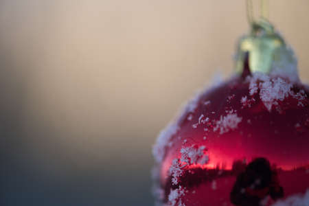 christmas red balls  on pine tree covered with fresh snow