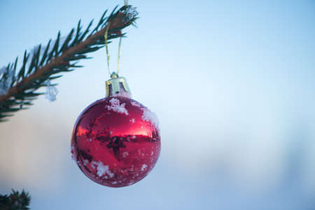 christmas red balls  on pine tree covered with fresh snowの写真素材