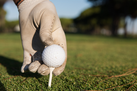 closeup of golf players hand placing ball on tee. beautiful sunrise on golf course landscape  in backgroundの写真素材