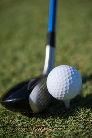 golf club and ball in grass on course preparing for shotの写真素材
