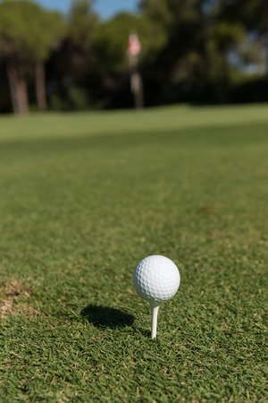 golf ball on tee at beautiful course with fresh green grassの写真素材