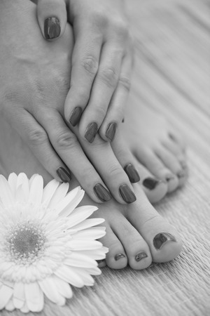 Closeup photo of a female feet and hands at spa salon on pedicure and manicure procedureの写真素材