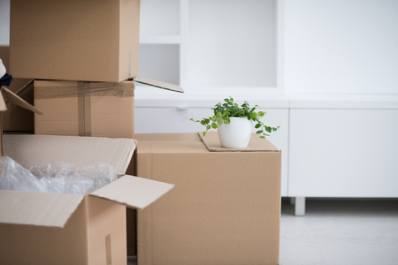 Moving boxes in empty roomの写真素材