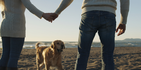 Couple Running On The Beach Holding Their Hands with dog On autmun dayの写真素材
