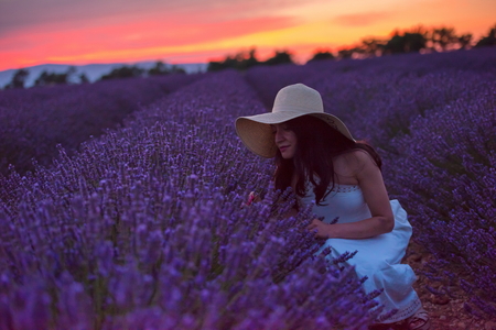 Woman portrait in lavender flower field in sunset and night timeの写真素材