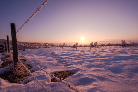 Winter landscape scenic   fresh snow  against purple violet  sky with long shadows on beautiful fresh morningの写真素材