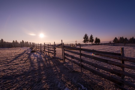 Winter landscape scenic   fresh snow  against purple violet  sky with long shadows on beautiful fresh morningの写真素材