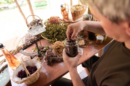 Herbalist gardener small business owner picking gathering fresh herbs for alternative medicine tea and putting on balanceの写真素材