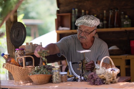Senior man gardener herbalist picking gathering fresh herbs for alternative medicine tea and putting on balanceの写真素材