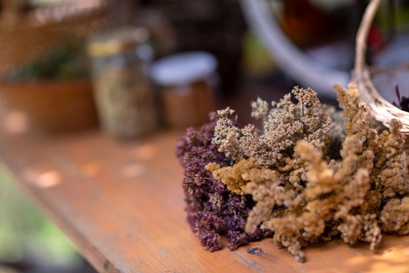 Herbalist workshop with bottles and healing herbsの写真素材